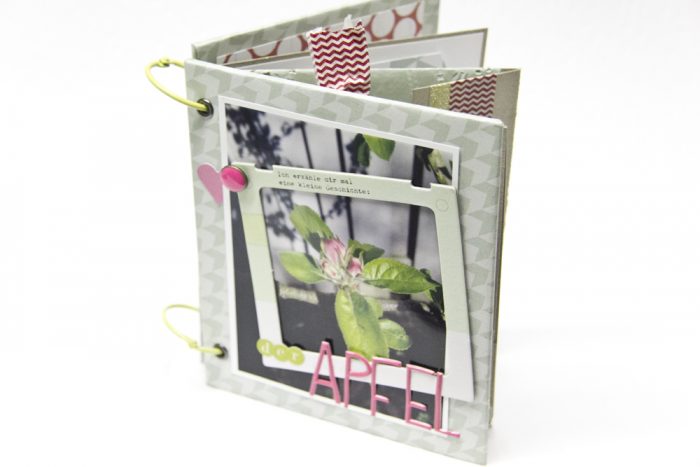 Minibook Pink Paislee