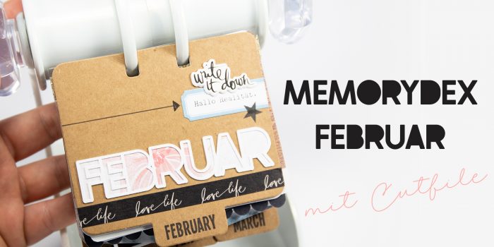 Memorydex Februar