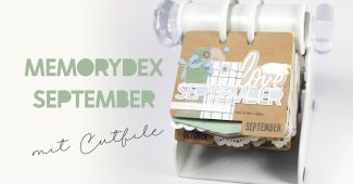 Memorydex Jahresprojekt